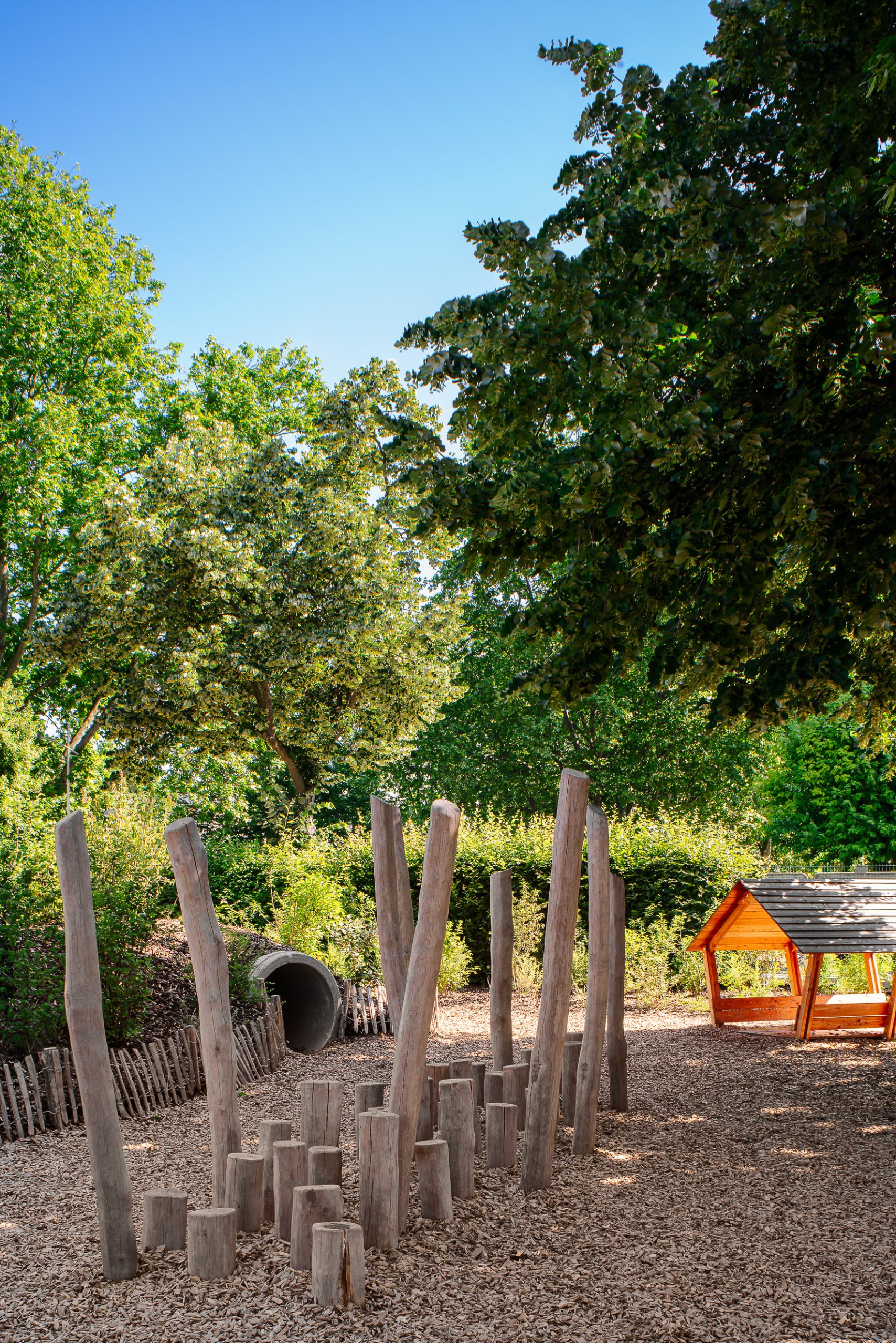 amenagement paysager cour scolaire