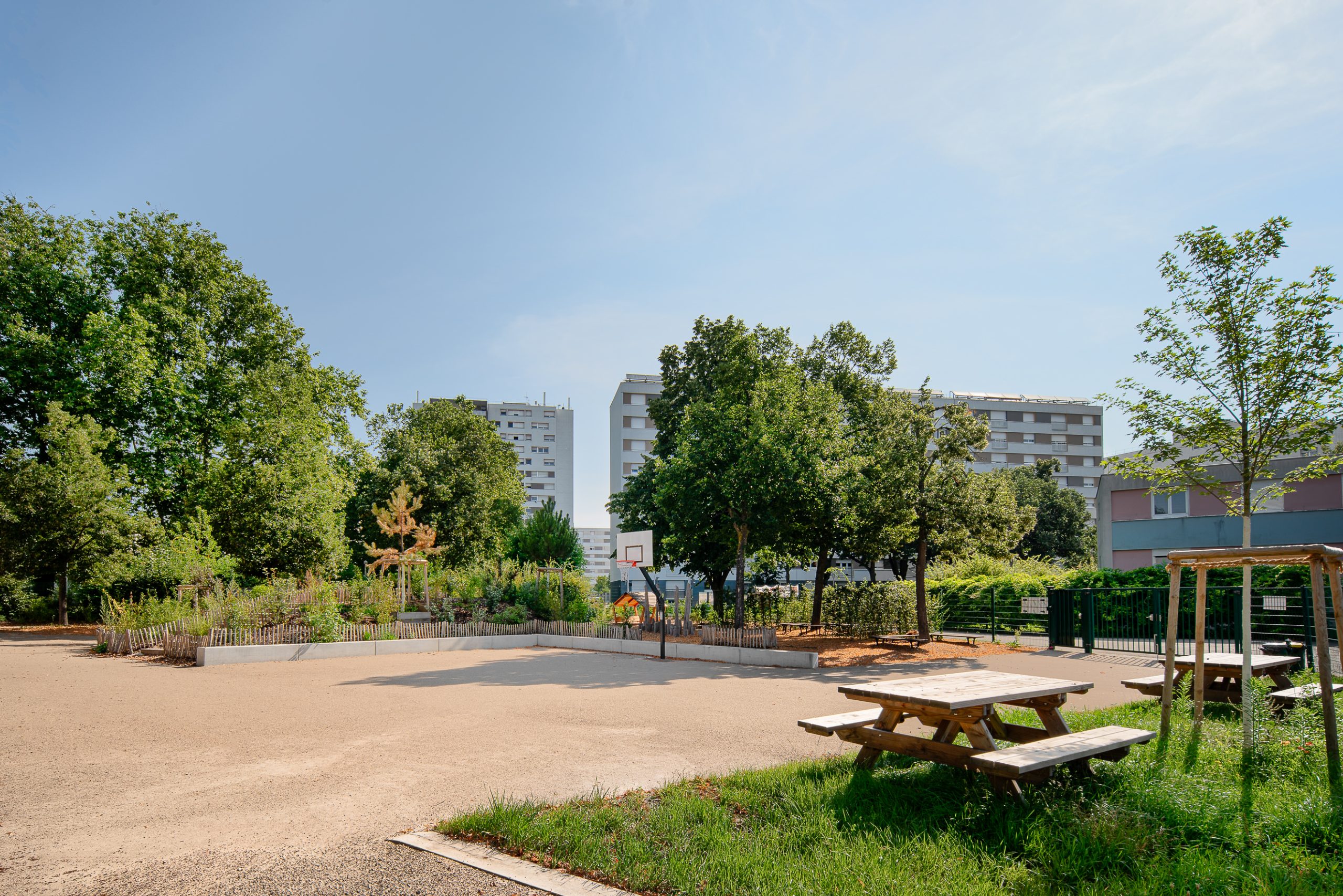 cour ecole amenagement paysager strasbourg