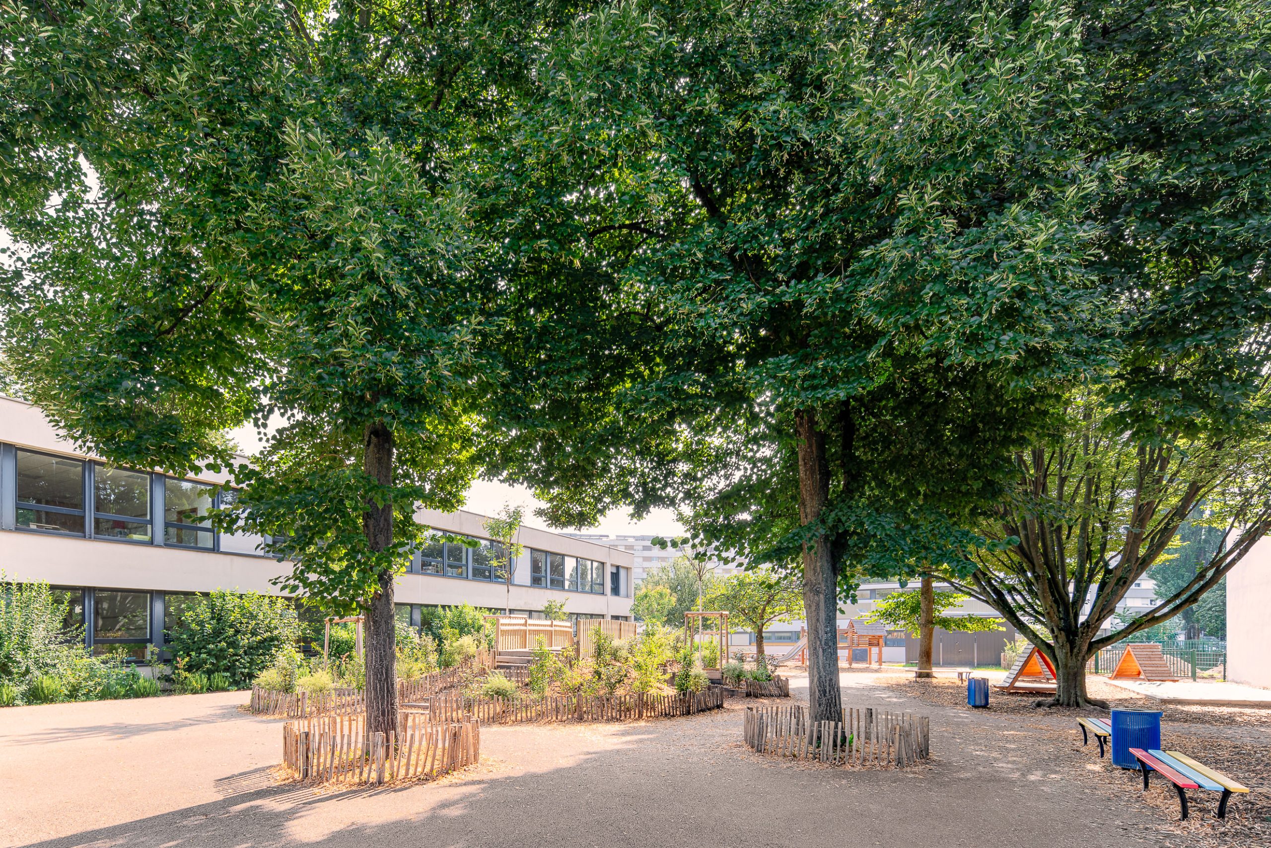 projet cours oasis ville strasbourg