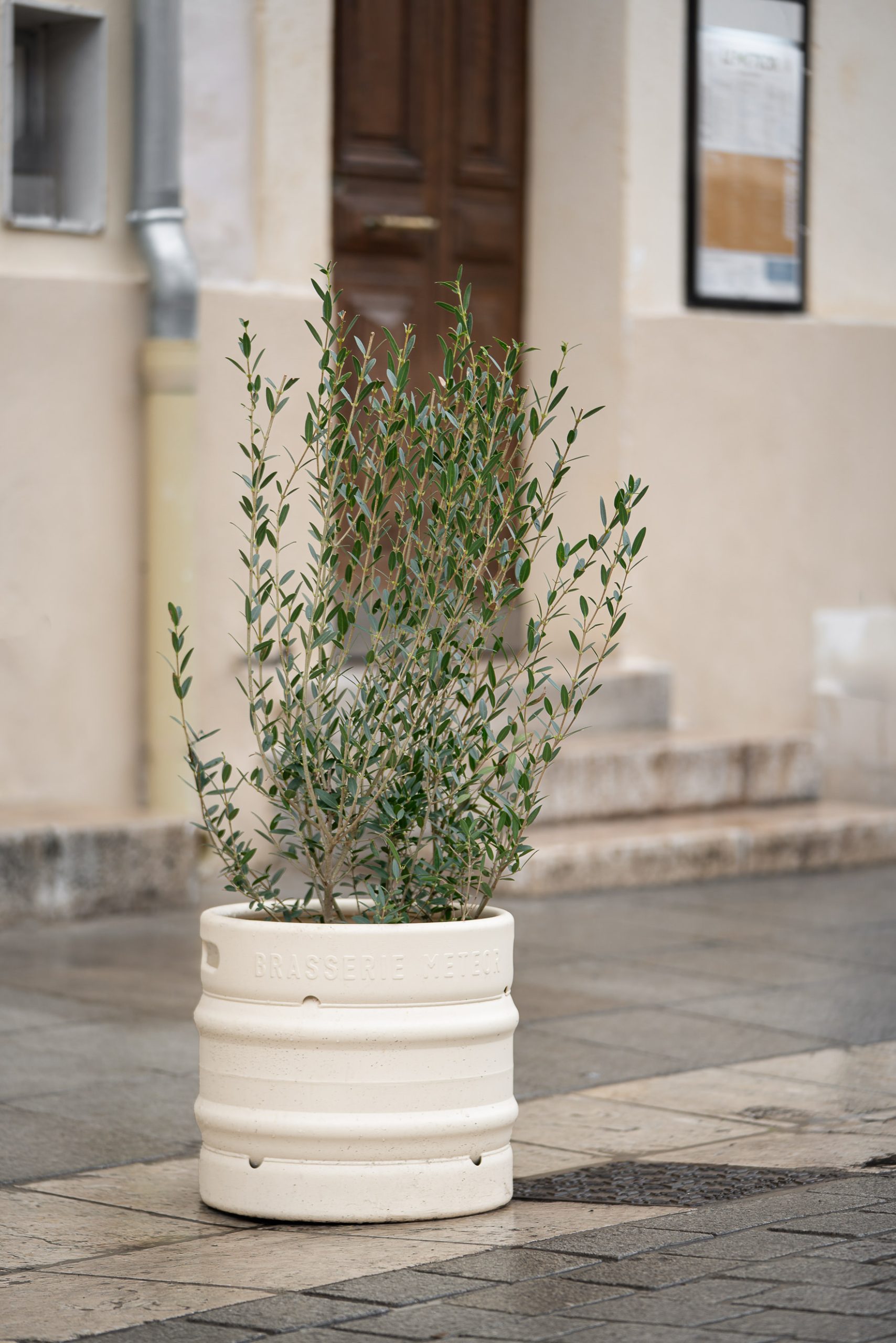 four tartes flambees restaurant meteor