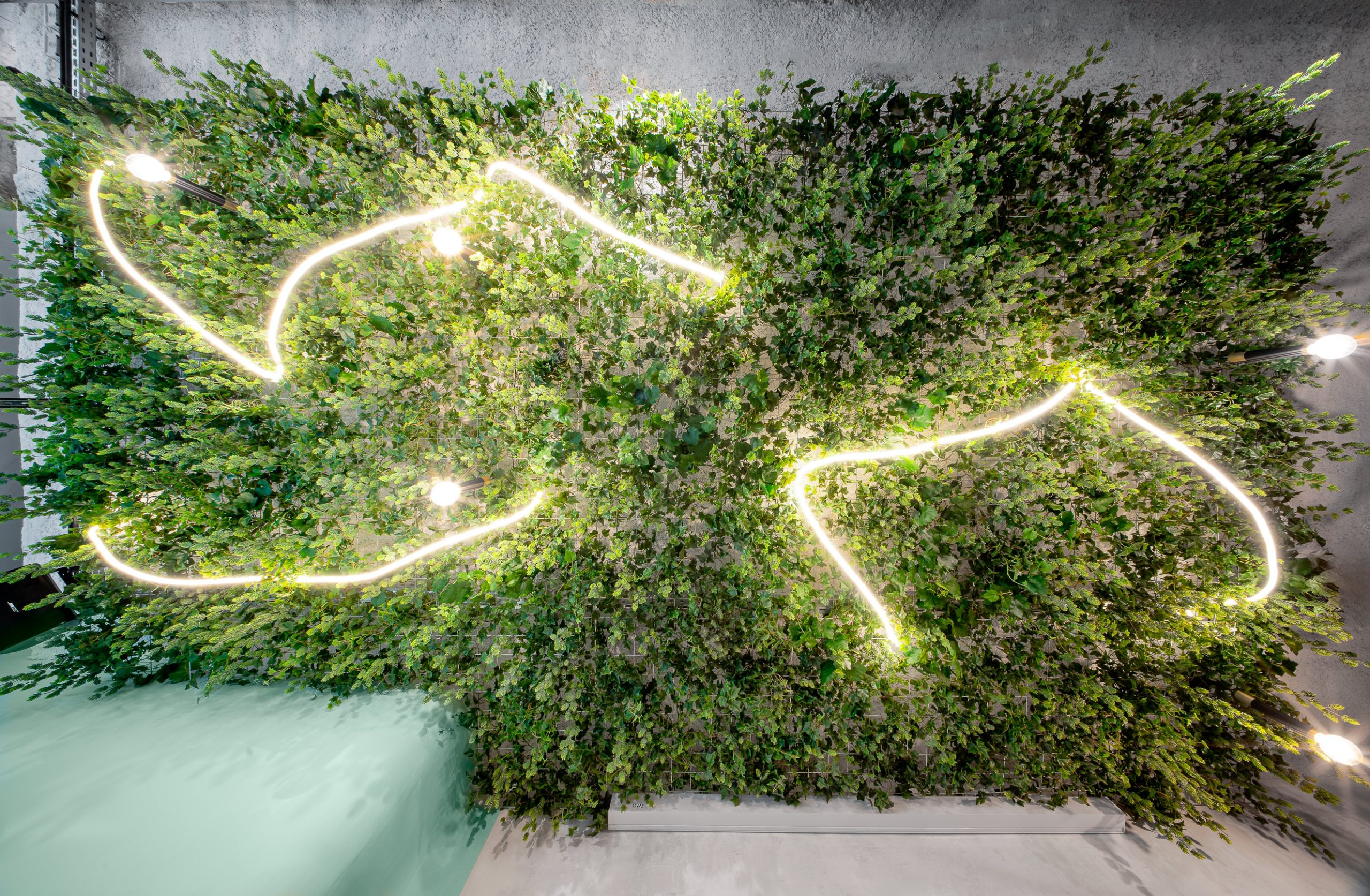 plafond vegetalise restaurant meteor