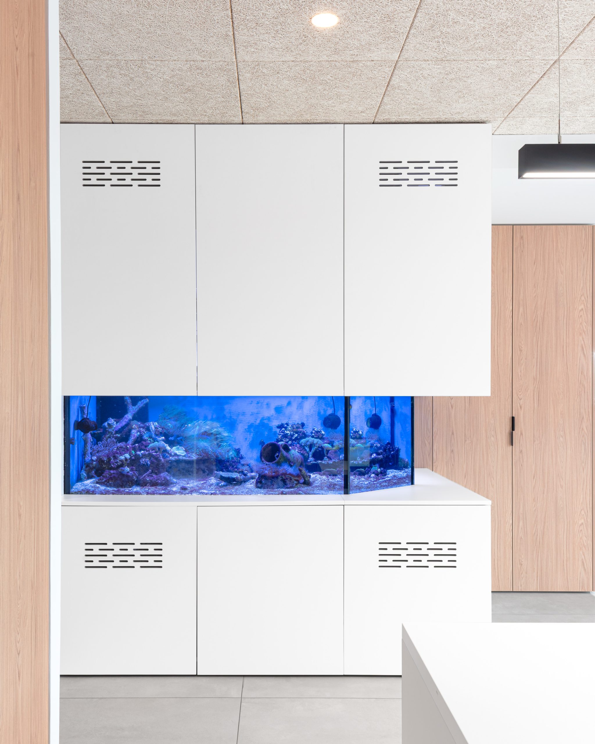 espace collaboratif bureaux couleurs textures espace collaboratif bureaux couleurs textures