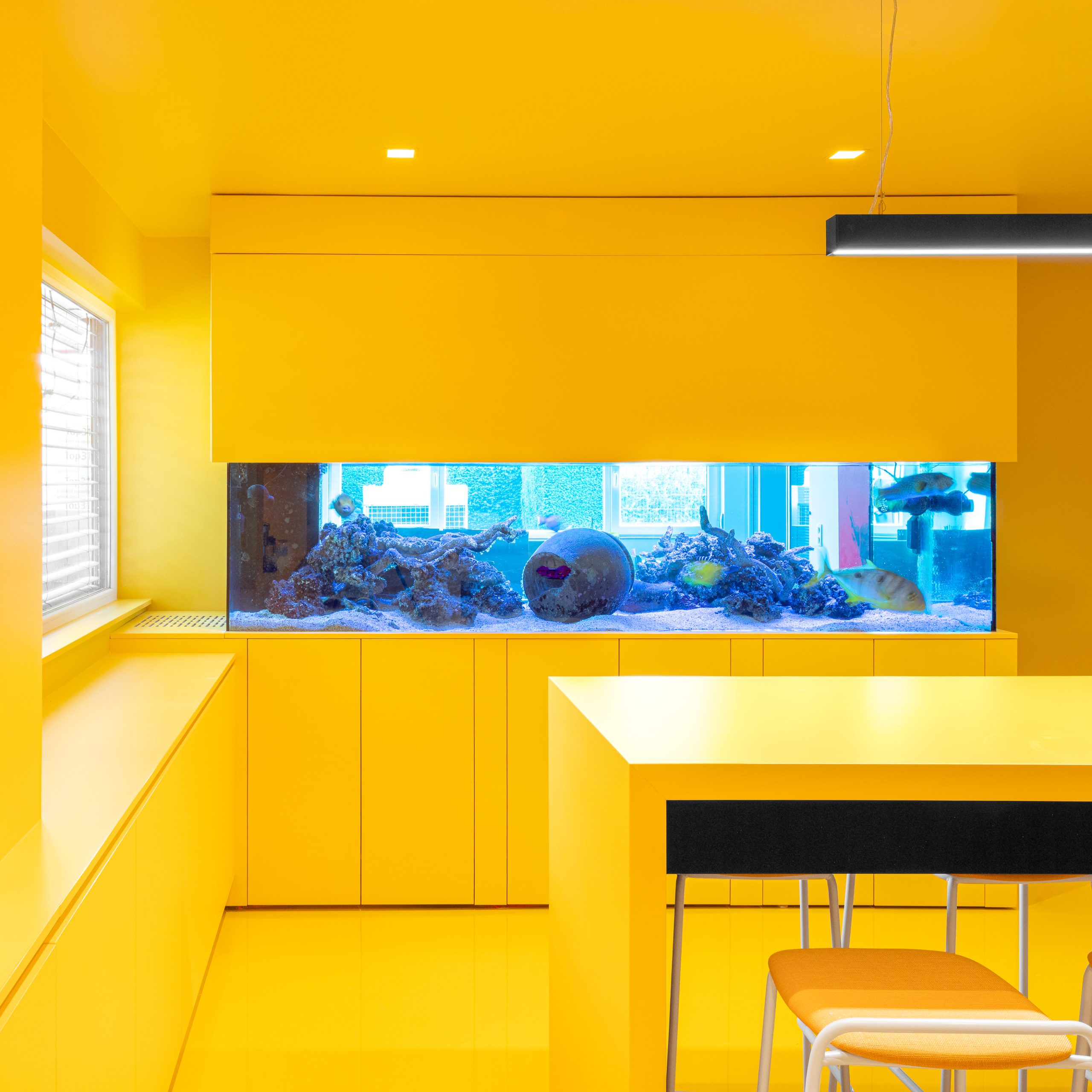 mur graffiti architecture interieure bureaux mur graffiti architecture interieure bureaux