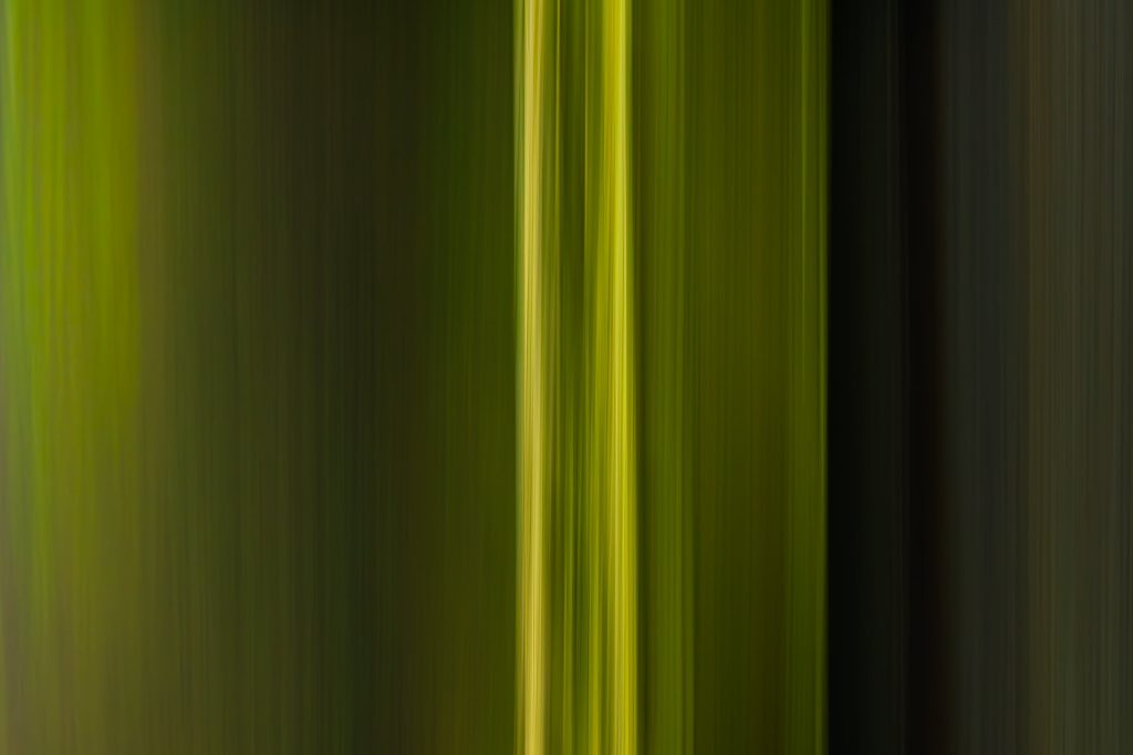 nature-green-scents-01
