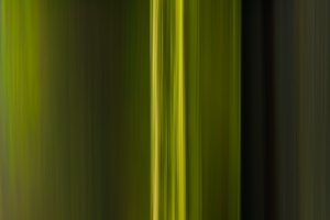 nature-green-scents-01