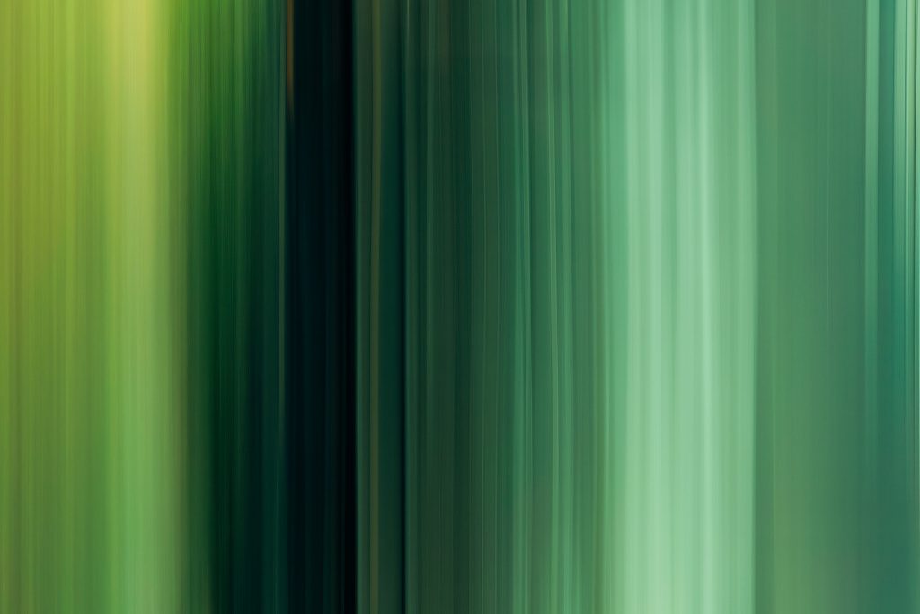 nature-green-scents-010