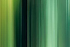 nature-green-scents-010