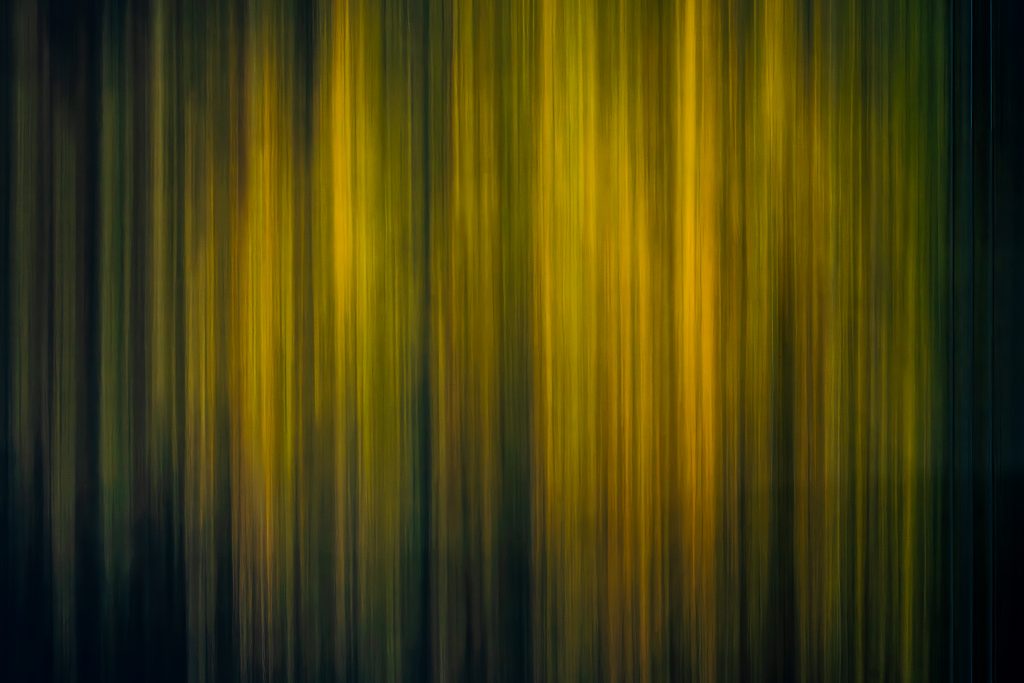 nature-green-scents-011