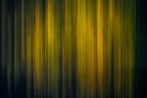 nature-green-scents-011