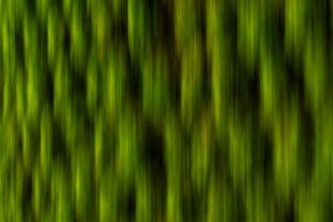 Série - Force de la nature