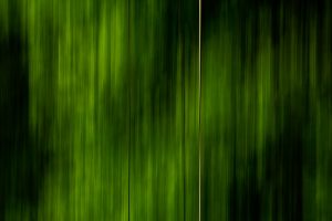 nature-green-scents-05
