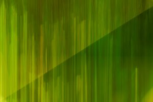 nature-green-scents-06
