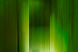 Série - Force de la nature GREEN