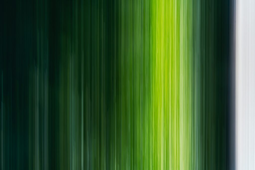 nature-green-scents-08