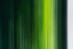 nature-green-scents-08