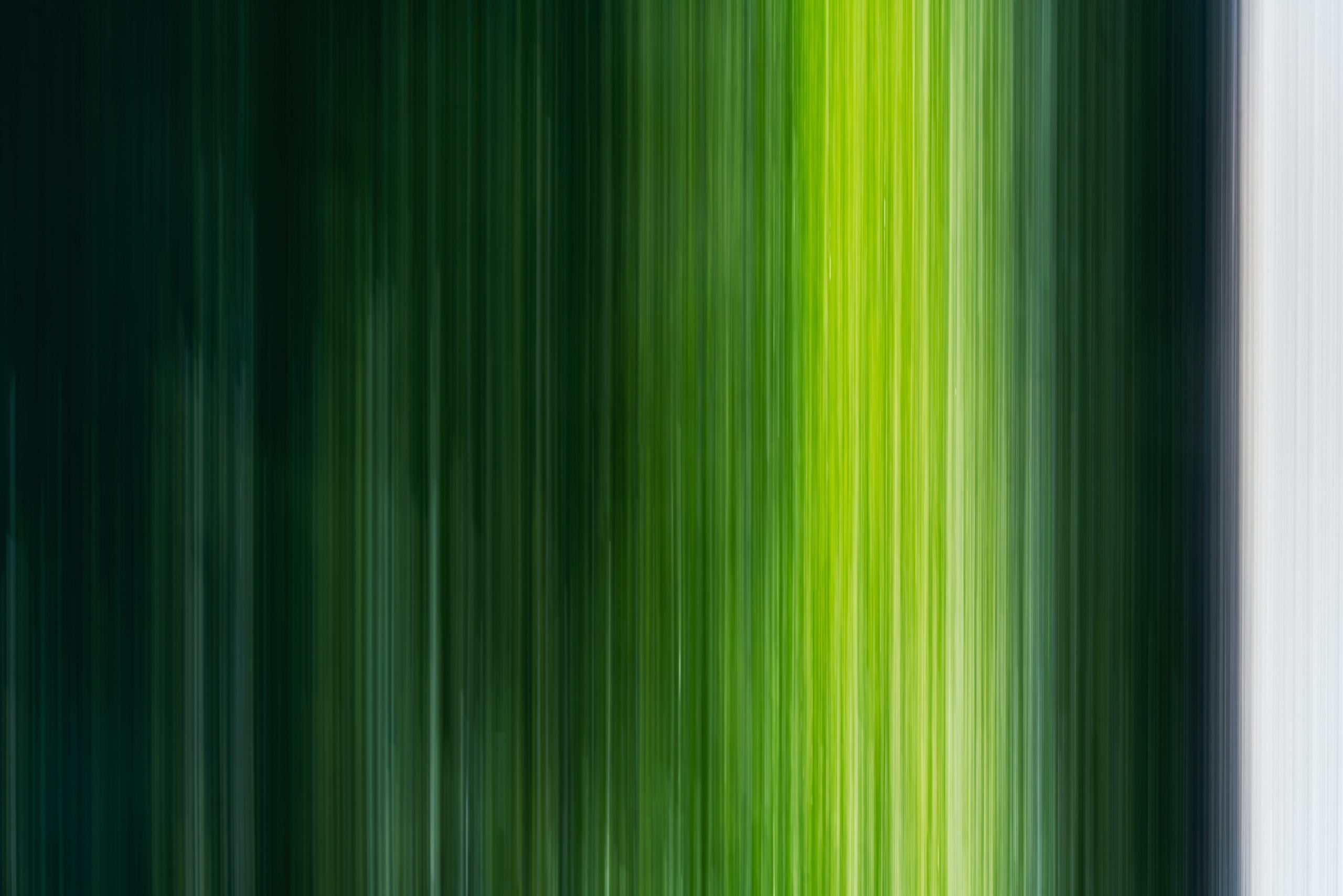 nature-green-scents-08