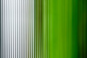 nature-green-scents-09